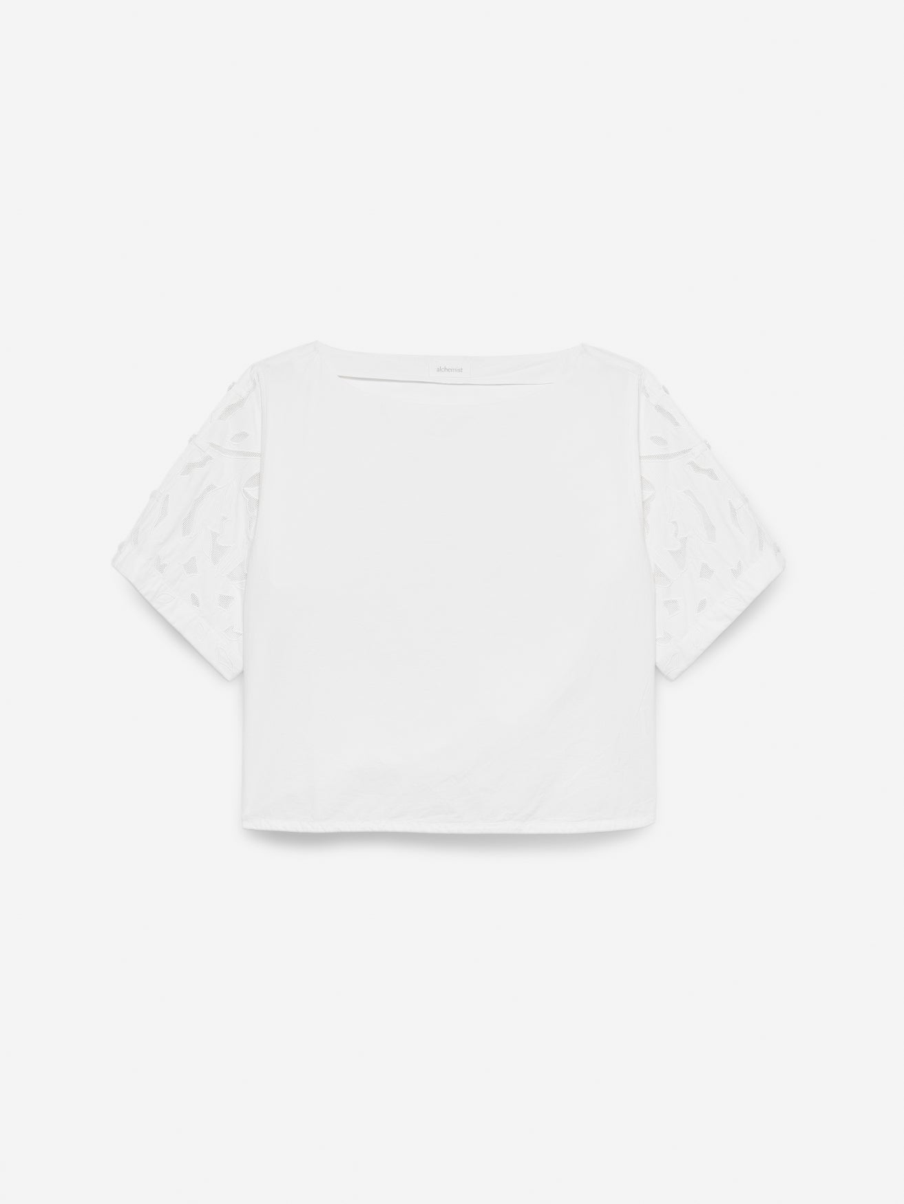 Top Lotus | Very white